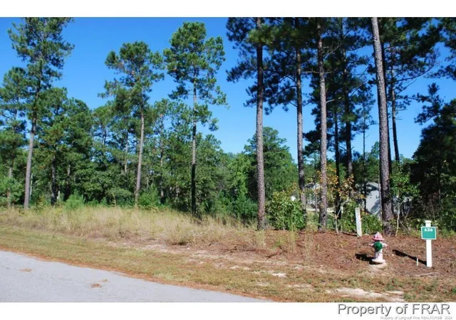 Photo 4 of Land for sale at 162 Broadlake (636) Ln, Spring Lake, NC 28390 | MLS# 734550 | Listing updated on 2026-07-18