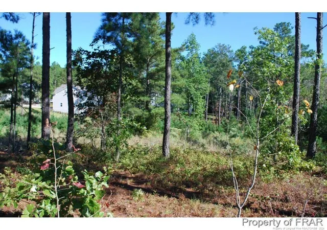 Photo 5 of Land for sale at 162 Broadlake (636) Ln, Spring Lake, NC 28390 | MLS# 734550 | Listing updated on 2026-07-18