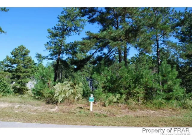 Homes for sale in Spring Lake, NC | 152 Broadlake (635) Ln, Spring Lake, NC 28390 | MLS# 734552