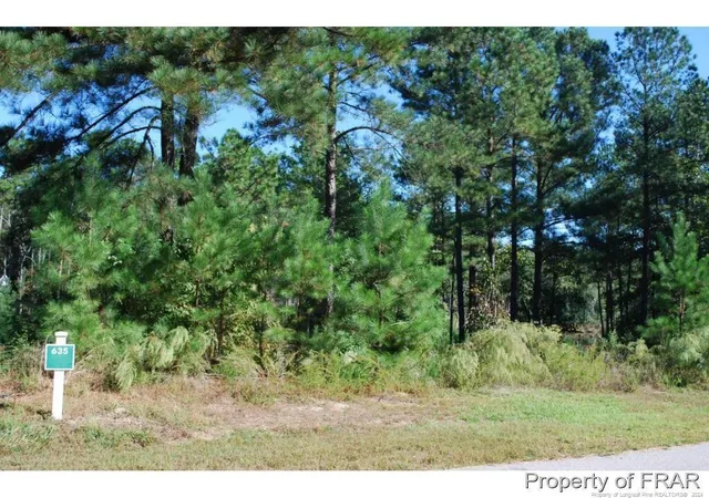 Homes for sale in Spring Lake, NC | 152 Broadlake (635) Ln, Spring Lake, NC 28390 | MLS# 734552