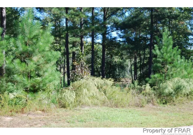 Homes for sale in Spring Lake, NC | 152 Broadlake (635) Ln, Spring Lake, NC 28390 | MLS# 734552