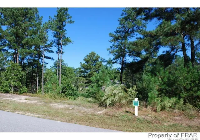 Homes for sale in Spring Lake, NC | 152 Broadlake (635) Ln, Spring Lake, NC 28390 | MLS# 734552