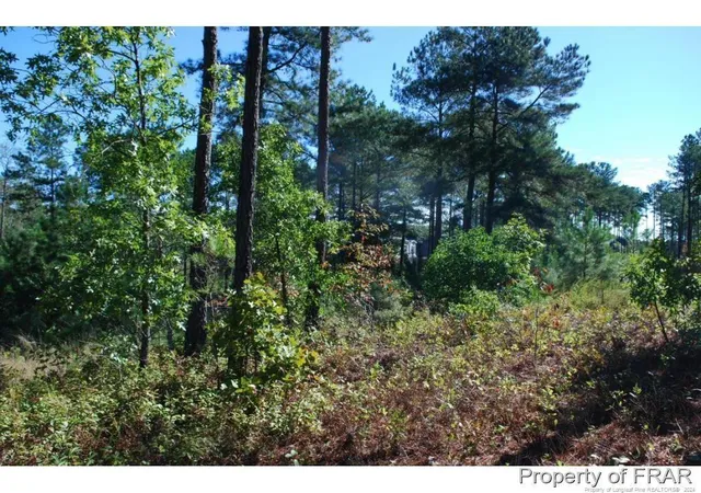 Homes for sale in Spring Lake, NC | 152 Broadlake (635) Ln, Spring Lake, NC 28390 | MLS# 734552
