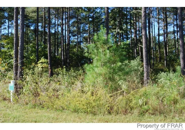 Homes for sale in Spring Lake, NC | 45 Broadlake (479) Ln, Spring Lake, NC 28390 | MLS# 734553