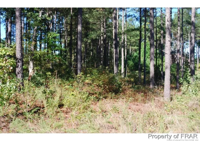 Homes for sale in Spring Lake, NC | 45 Broadlake (479) Ln, Spring Lake, NC 28390 | MLS# 734553