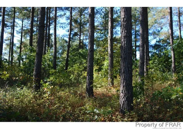 Homes for sale in Spring Lake, NC | 45 Broadlake (479) Ln, Spring Lake, NC 28390 | MLS# 734553