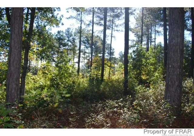 Homes for sale in Spring Lake, NC | 45 Broadlake (479) Ln, Spring Lake, NC 28390 | MLS# 734553