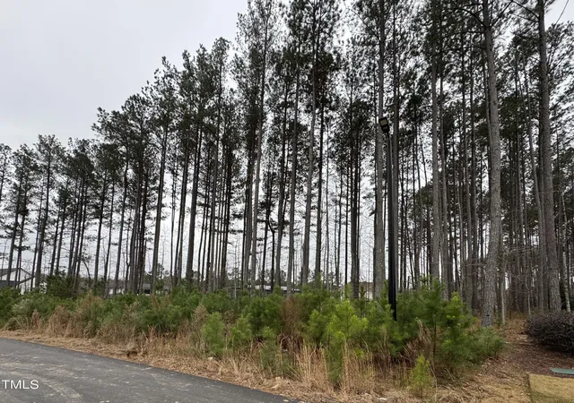 1st image of 107 Edward Booth Lane Lane, Durham, NC 27713 | MLS# 10068345