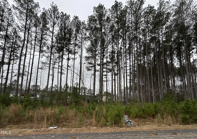 2nd image of 107 Edward Booth Lane Lane, Durham, NC 27713 | MLS# 10068345