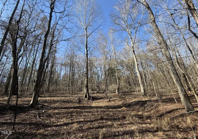 Photo 3 of Unimproved Land at 33 Henry Ct, Chapel Hill, NC 27516 | MLS# 10071014 | | Sold on 2026-07-13