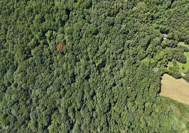3rd image of Tbd Siler City Snow Camp Rd, Siler City, NC 27344 | MLS# 10075659