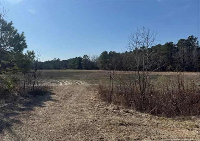 3rd image of 0 American Indian Hwy, Lumberton, NC 28358 | MLS# 737925