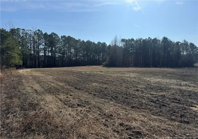 4th image of 0 American Indian Hwy, Lumberton, NC 28358 | MLS# 737925
