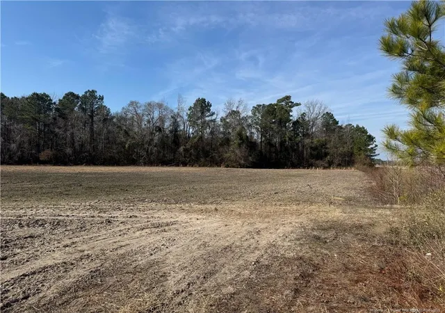 5th image of 0 American Indian Hwy, Lumberton, NC 28358 | MLS# 737925