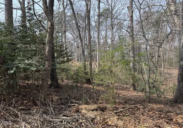 4th image of 441 Glenbrook Springs Spg, New London, NC 28127 | MLS# 10082451