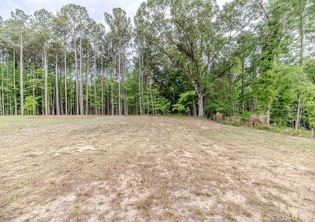 28th image of 261 River Falls Rd, Sanford, NC 27332 | MLS# 740642