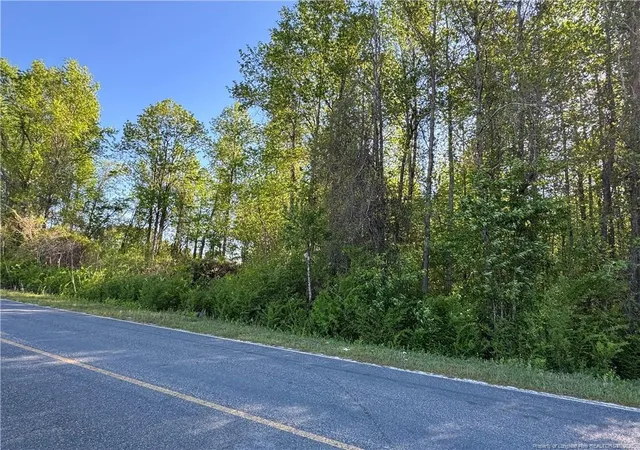 Photo 2 of Land for sale at Mcbryde Ml Rd, Red Springs, NC 28377 | MLS# 742224 | Listing updated on 2026-07-18