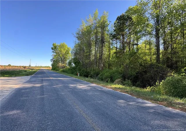 Photo 3 of Land for sale at Mcbryde Ml Rd, Red Springs, NC 28377 | MLS# 742224 | Listing updated on 2026-07-18