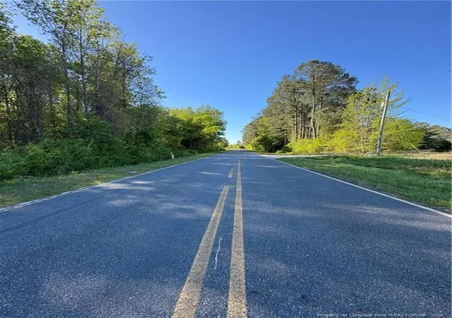 Photo 5 of Land for sale at Mcbryde Ml Rd, Red Springs, NC 28377 | MLS# 742224 | Listing updated on 2026-07-18