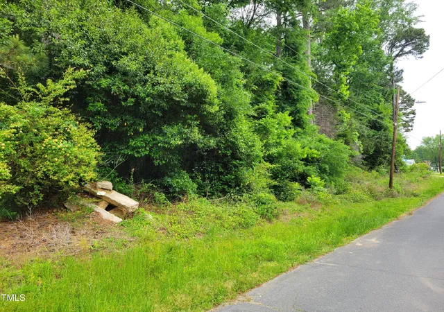 23rd image of Tbd E Third St, Siler City, NC 27344 | MLS# 10096347