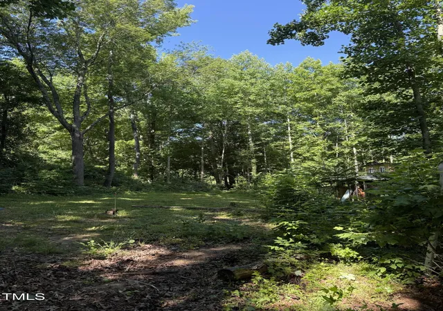 Photo 2 of Land for sale at 190 Louise Jenkins Rd, Moncure, NC 27559 | MLS# 10104906 | Listing updated on 2026-07-18