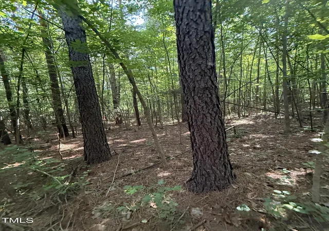 Photo 5 of Land for sale at 190 Louise Jenkins Rd, Moncure, NC 27559 | MLS# 10104906 | Listing updated on 2026-07-18