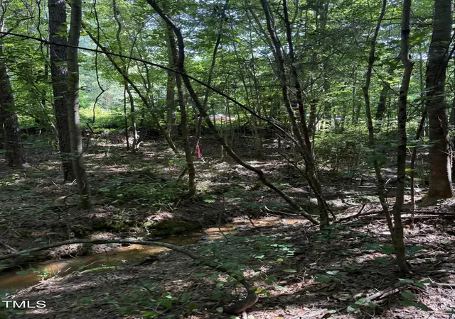 Photo 6 of Land for sale at 190 Louise Jenkins Rd, Moncure, NC 27559 | MLS# 10104906 | Listing updated on 2026-07-18