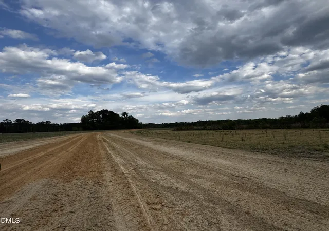 19th image of 0 N Nc 11 Hwy, Murfreesboro, NC 27855 | MLS# 10094082