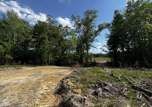 2nd image of 0 N Nc 11 Hwy, Murfreesboro, NC 27855 | MLS# 10094082