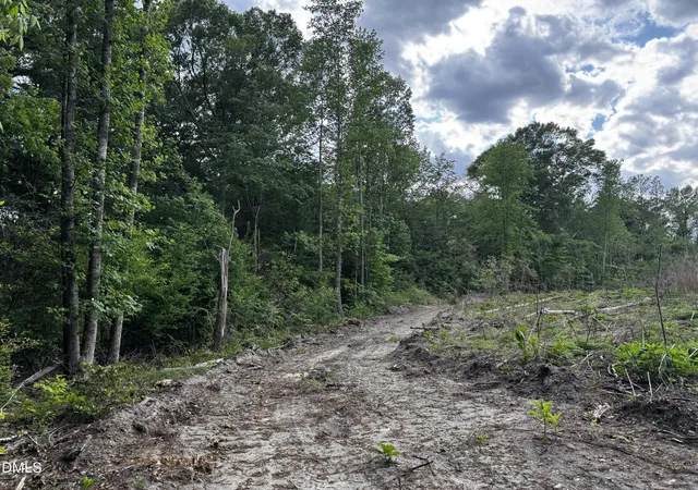 3rd image of 0 N Nc 11 Hwy, Murfreesboro, NC 27855 | MLS# 10094082