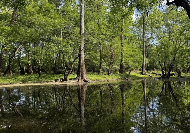 5th image of 0 N Nc 11 Hwy, Murfreesboro, NC 27855 | MLS# 10094082