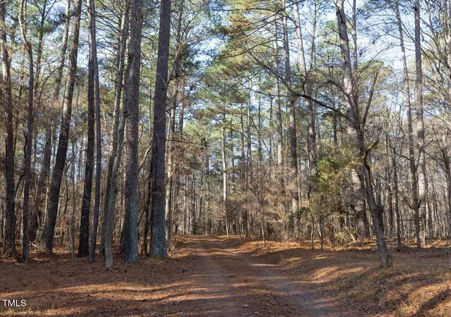 Photo 4 of Sale Pending at Lot 1 D Turkey Buzzard Ln, Pittsboro, NC 27312 | MLS# 10100611 | Listing updated on 2026-07-30