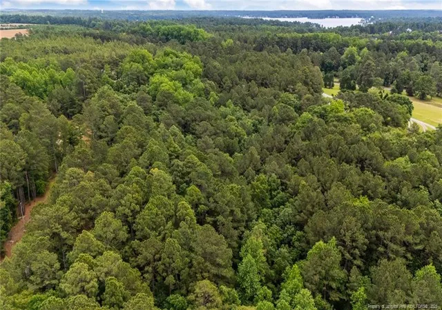 Photo 4 of Land at 111 Millstone Ct, West End, NC 27376 | MLS# 744364 |  | Sold on 2026-06-30
