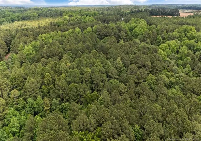 Photo 5 of Land at 111 Millstone Ct, West End, NC 27376 | MLS# 744364 |  | Sold on 2026-06-30