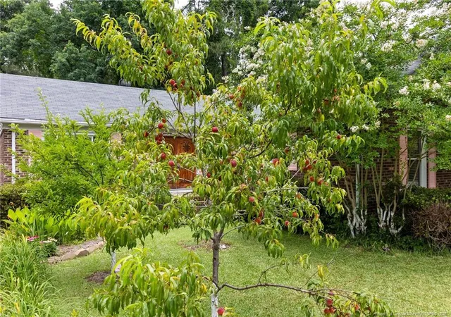Photo 4 of Sale Pending at 741 Ashboro St, Fayetteville, NC 28311 | MLS# 744645 | Listing updated on 2026-07-18
