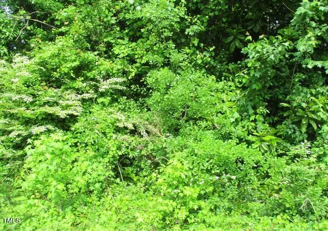 1st image of 0 Airport Rd, Garland, NC 28441 | MLS# 10100872