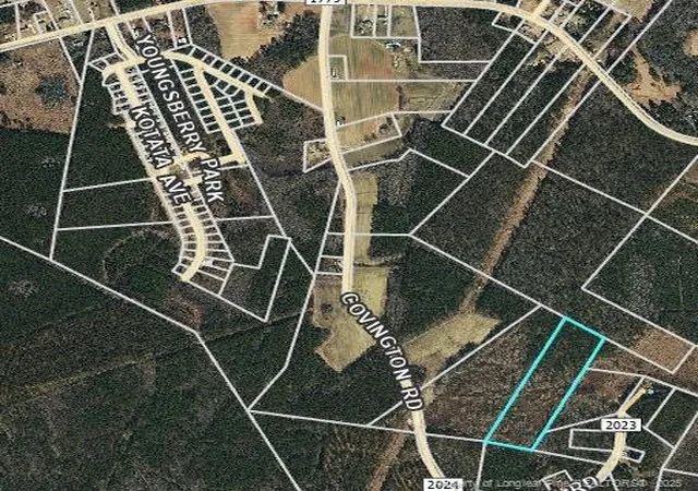 Photo 3 of Sale Pending at 0000 Covington Rd, Bunnlevel, NC 28323 | MLS# 745943 | Listing updated on 2026-07-18