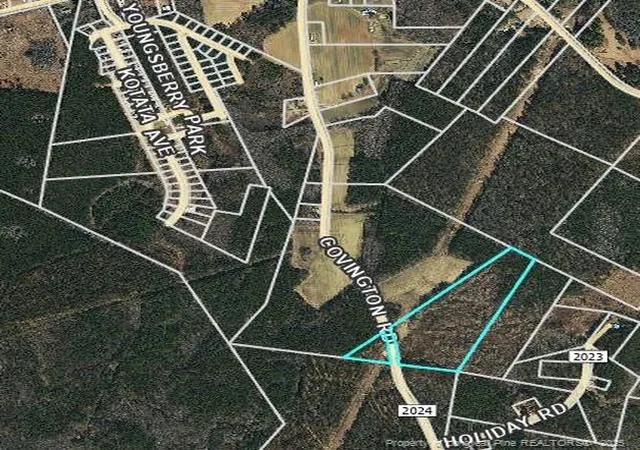 Photo 3 of Sale Pending at 0000 Covington Rd, Bunnlevel, NC 28323 | MLS# 745943 | Listing updated on 2026-07-18