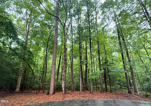 Photo 3 of Land for sale at 3124 Sand Wedge, Sanford, NC 27332 | MLS# 10159209 | Listing updated on 2026-08-24