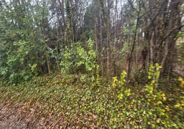 2nd image of 235 Madison Rd, China Grove, NC 28023 | MLS# 10111009