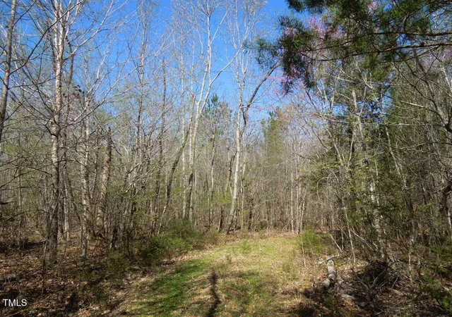 3rd image of Tbd Piedmont Rd Ave, Gibsonville, NC 27249 | MLS# 10108527
