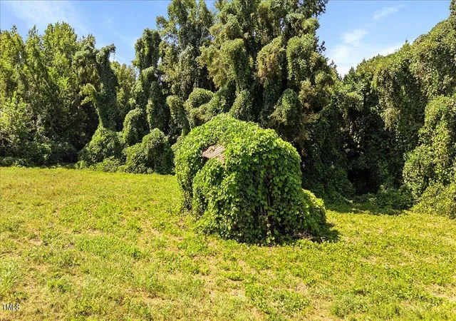 Photo 2 of Unimproved Land at 237 Martin Rd, Norlina, NC 27563 | MLS# 10119393 | | Sold on 2026-05-19