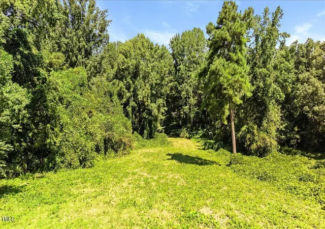 Photo 4 of Unimproved Land at 237 Martin Rd, Norlina, NC 27563 | MLS# 10119393 | | Sold on 2026-05-19