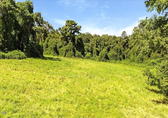 Photo 5 of Unimproved Land at 237 Martin Rd, Norlina, NC 27563 | MLS# 10119393 | | Sold on 2026-05-19