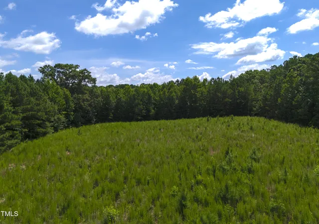 Photo 3 of Land for sale at 1096 Kadir Womble Dr, New Hill, NC 27562 | MLS# 10110357 | Listing updated on 2026-07-18