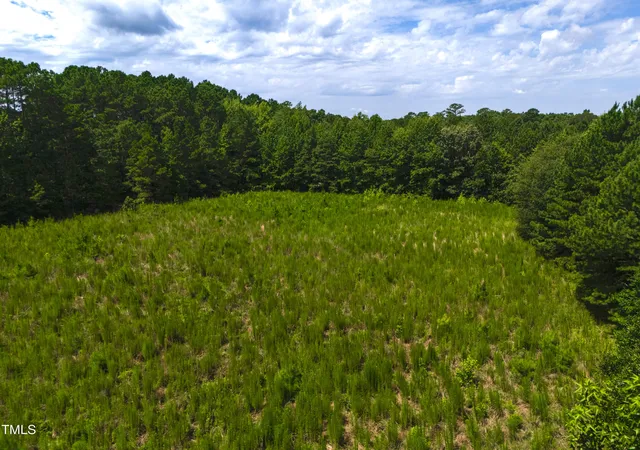 Photo 4 of Land for sale at 1096 Kadir Womble Dr, New Hill, NC 27562 | MLS# 10110357 | Listing updated on 2026-07-18