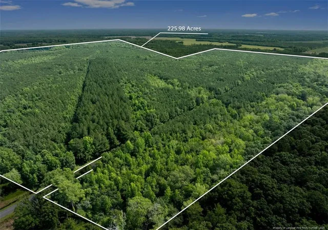 Photo 1 of Sale Pending at Tbd Rich Walker Rd, Wade, NC 28395 | MLS# 747834 | Listing updated on 2026-08-13