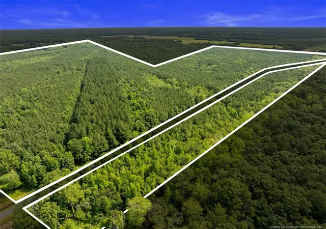 Photo 3 of Sale Pending at Tbd Rich Walker Rd, Wade, NC 28395 | MLS# 747834 | Listing updated on 2026-08-13