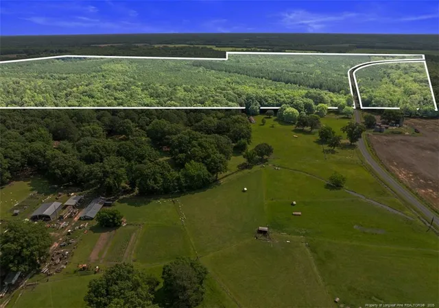 Photo 4 of Sale Pending at Tbd Rich Walker Rd, Wade, NC 28395 | MLS# 747834 | Listing updated on 2026-08-13