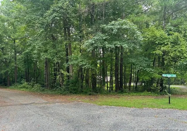Homes for sale in Sanford, NC | 162 Woodwedge Wy, Sanford, NC 27332 | MLS# 748869